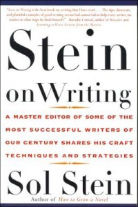 Stein on Writing